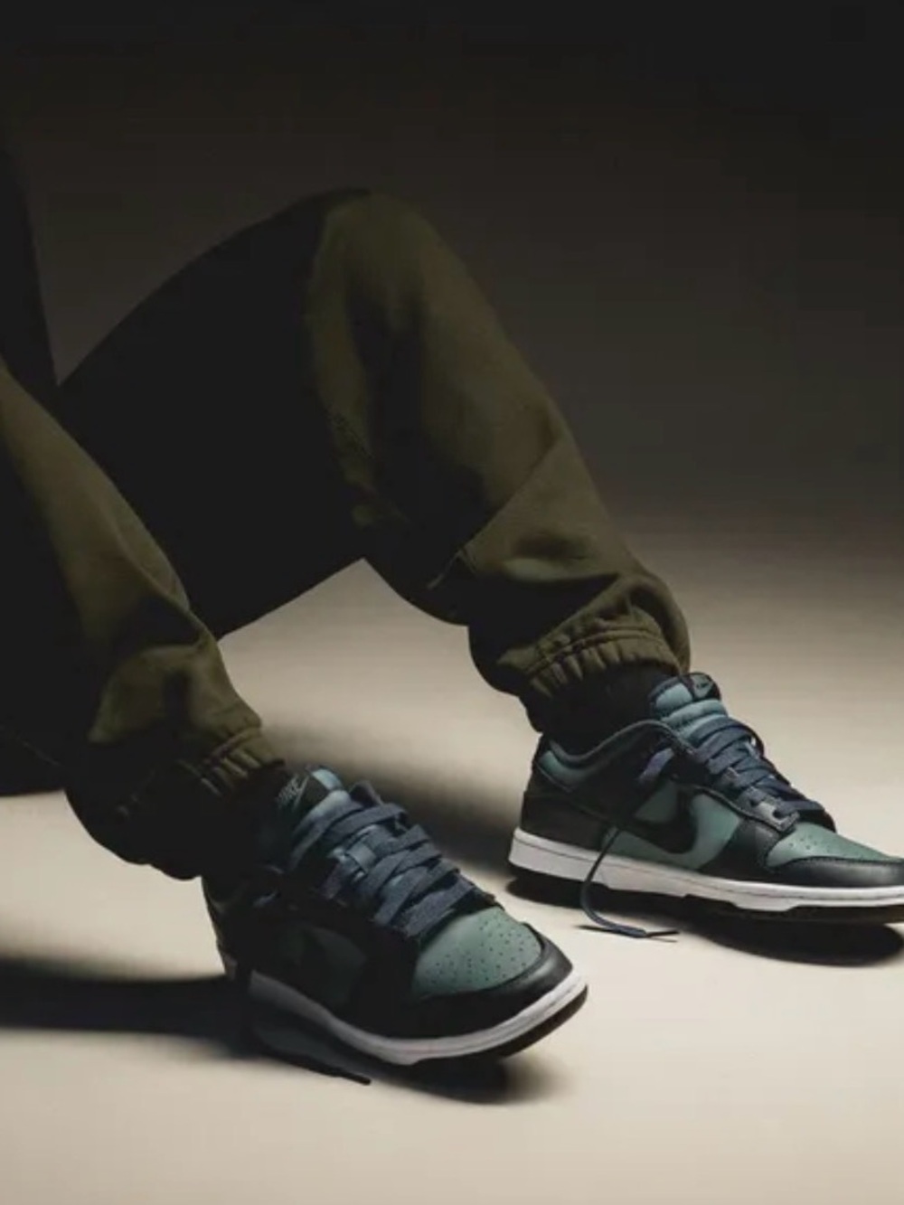 Nike Dunk Low
Premium Retro Mineral Slate Armory Navy
DR9705-300 Men's Size 10.5